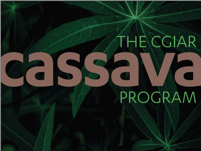 The Cassava Program